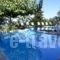 Dafnoudi Hotel Apartments_best deals_Apartment_Ionian Islands_Kefalonia_Kefalonia'st Areas