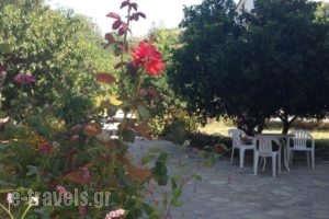 Alekos Rooms And Apartments_accommodation_in_Room_Aegean Islands_Samos_Samosst Areas