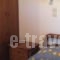 Alekos Rooms And Apartments_best deals_Room_Aegean Islands_Samos_Samosst Areas