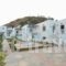 Iris Studios_accommodation_in_Hotel_Dodekanessos Islands_Karpathos_Karpathos Chora