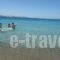 Krios Beach Camping_best deals_Hotel_Cyclades Islands_Paros_Paros Chora