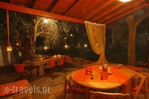 Evaggelia Studios_best deals_Hotel_Sporades Islands_Skopelos_Neo Klima - Elios