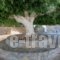 Creta Maris Beach Resort_best prices_in_Hotel_Crete_Heraklion_Gouves