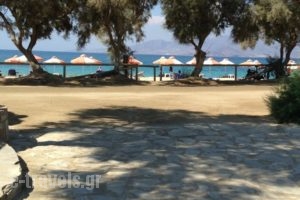 Maragas Beach Camping_accommodation_in_Hotel_Cyclades Islands_Naxos_Naxos chora