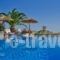 Kavos Boutique Hotel Naxos_accommodation_in_Hotel_Cyclades Islands_Naxos_Naxos Chora