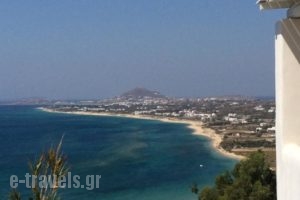Villa Mousa_lowest prices_in_Villa_Cyclades Islands_Naxos_Mikri Vigla