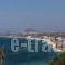 Villa Mousa_lowest prices_in_Villa_Cyclades Islands_Naxos_Mikri Vigla