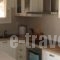 Villa Mousa_travel_packages_in_Cyclades Islands_Naxos_Mikri Vigla