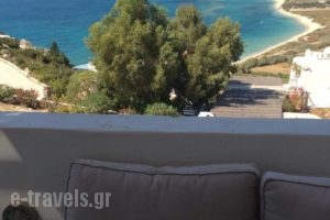 Villa Mousa_best prices_in_Villa_Cyclades Islands_Naxos_Mikri Vigla