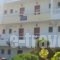 Roseberry Studios_travel_packages_in_Dodekanessos Islands_Rhodes_Faliraki