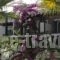 Rose Bay Hotel_best deals_Hotel_Cyclades Islands_Sandorini_kamari