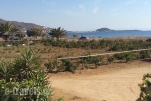 Aronis_travel_packages_in_Cyclades Islands_Naxos_Naxos chora