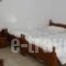 Electra_travel_packages_in_Dodekanessos Islands_Rhodes_Lindos
