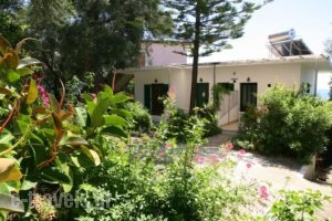 Alexia House_holidays_in_Hotel_Ionian Islands_Corfu_Corfu Rest Areas