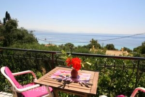 Alexia House_accommodation_in_Hotel_Ionian Islands_Corfu_Corfu Rest Areas