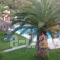 Eden's Garden_travel_packages_in_Ionian Islands_Corfu_Corfu Rest Areas
