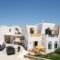 Summer Dream Ii_holidays_in_Hotel_Cyclades Islands_Naxos_Agia Anna