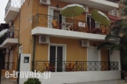 Vergina Studios_s __1
