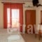 Polymnia Studios_holidays_in_Hotel_Macedonia_Pieria_Olympiaki Akti