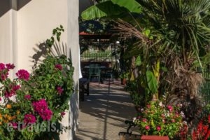 Polymnia Studios_travel_packages_in_Macedonia_Pieria_Olympiaki Akti