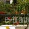 Pansion Chrisa_best deals_Hotel_Sporades Islands_Skiathos_Skiathoshora