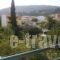 Pansion Chrisa_lowest prices_in_Hotel_Sporades Islands_Skiathos_Skiathoshora