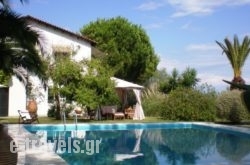 Villa Flores_s __1