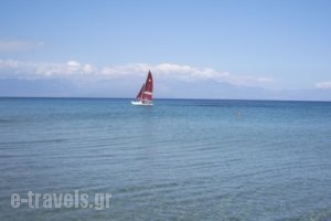 Panayiotis Apartments_lowest prices_in_Apartment_Thessaly_Magnesia_Pilio Area