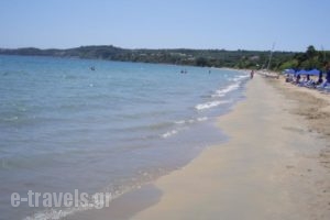 Panayiotis Apartments_holidays_in_Apartment_Thessaly_Magnesia_Pilio Area