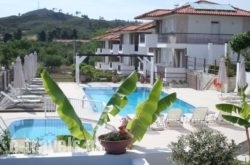 Ampelia Studios_s __1