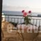 Dioni Studios & Apartments_travel_packages_in_Ionian Islands_Kefalonia_Kefalonia'st Areas
