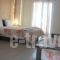 Dioni Studios & Apartments_lowest prices_in_Apartment_Ionian Islands_Kefalonia_Kefalonia'st Areas