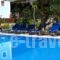 Giorgio Apartments_lowest prices_in_Apartment_Ionian Islands_Lefkada_Lefkada Chora