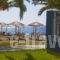 Olympion Beach Hotel_best deals_Hotel_Macedonia_Halkidiki_Poligyros