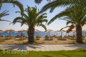 Olympion Beach Hotel_lowest prices_in_Hotel_Macedonia_Halkidiki_Poligyros