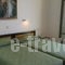 Nikolas Villas Aapartments_best deals_Villa_Crete_Heraklion_Chersonisos