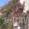 Hotel Palladion_best prices_in_Hotel_Cyclades Islands_Sandorini_Sandorini Chora