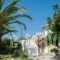 Mentikas Studios_travel_packages_in_Ionian Islands_Zakinthos_Laganas