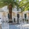Mentikas Studios_lowest prices_in_Hotel_Ionian Islands_Zakinthos_Laganas