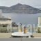 Hara Studios and Apartments_best deals_Apartment_Cyclades Islands_Paros_Naousa