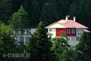 Salvia_accommodation_in_Hotel_Epirus_Ioannina_Amarandos