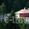 Salvia_accommodation_in_Hotel_Epirus_Ioannina_Amarandos
