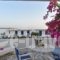 Apartments Tarsa_holidays_in_Apartment_Cyclades Islands_Antiparos_Antiparos Chora