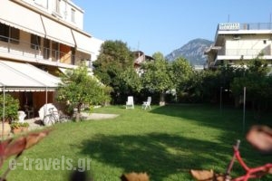 Anna'S Studios_lowest prices_in_Hotel_Central Greece_Fthiotida_Kamena Vourla