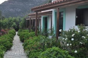 Studio Froso_travel_packages_in_Aegean Islands_Samos_Samos Rest Areas