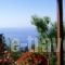 Studio Froso_accommodation_in_Hotel_Aegean Islands_Samos_Samos Rest Areas