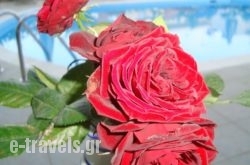 Creta Sun Hotel Studios_s __1
