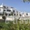 Naoussa Hills Boutique Resort - Adults Only (15+)_holidays_in_Hotel_Cyclades Islands_Paros_Paros Chora