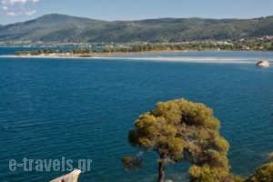 Vrahos House Apartments_lowest prices_in_Apartment_Macedonia_Halkidiki_Nikiti