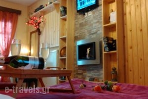 Guesthouse Chrysa_accommodation_in_Hotel_Central Greece_Viotia_Arachova